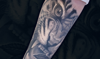 tattoo-spb female black`n`grey healed 8hours forearm realistic tattoo tiger head custom design